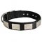 Practical Nylon Bullmastiff Collar with Plates