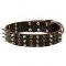 Trendy Leather Bullmastiff Collar with studs and spikes