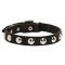Classy Leather Bullmastiff Collar with Half Ball Studs