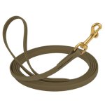 Biothane Leash 10 ft w/ Brass Hardware_1