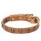 Reliable Leather Bullmastiff Collar with Brass Studs