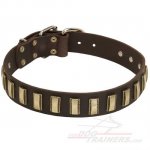 Quality Leather Bullmastiff Collar with Vertical Brass Plates