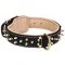 Padded Leather Bullmastiff Collar with Two Rows of Brass Spikes