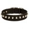 Studded Nylon Bullmastiff Collar for Walking and Training