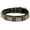 Walking Leather Bullmastiff Collar with Spikes and Old-looking Plates