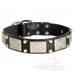 Stylish Leather Bullmastiff Collar with Massive Decorations