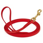 Biothane Leash 15 Ft w/ Brass Hardware_4
