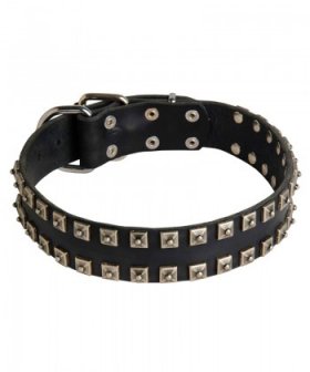 Fantastic Leather Bullmastiff Collar with Square Dotted Studs