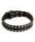 Fantastic Leather Bullmastiff Collar with Square Dotted Studs