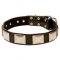 Leather Bullmastiff Collar with Aniqued Plates