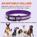 Dogline Reflective Translucent Biothane Collar_5