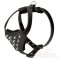 Small Leather Bullmastiff Harness with Spikes