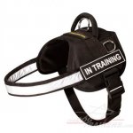 Waterproof Nylon Bullmastiff Harness with Reflective Strap