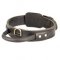Comfortable Leather Bullmastiff Collar with Handle