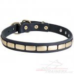 Gorgeous Leather Bullmastiff Dog Collar with Plates