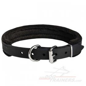 Comfortable Leather Bullmastiff Collar