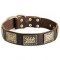Stunning Leather Bullmastiff Collar with Vintage Plates