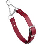 Biothane Martingale Collar with Metal Buckle_13