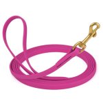 Biothane Leash 10 ft w/ Brass Hardware_8