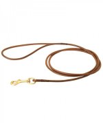 Bullmastiff Round Leather Leash for Dog Shows