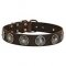 Classy Leather Bullmastif Collar