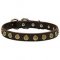 Elegant leather Bullmastiff collar with doted circles