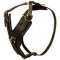 Training and Walking Leather Bullmastiff Harness