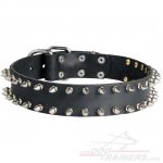 Leather Spiked Dog Collar for Bullmastiff