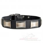 Royal Leather Bullmastiff Collar with Vintage Decoration