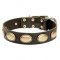 Decorated Leather Bullmastiff Collar with Oval Plates