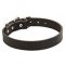 High Quality Leather Bullmastiff Collar