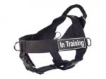 SAR Lightweight Nylon Bullmastiff Harness for Working Dogs