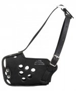 Military Bullmastiff Muzzle for Training