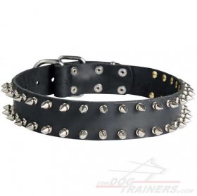 Leather Spiked Dog Collar for Bullmastiff