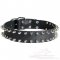 Leather Spiked Dog Collar for Bullmastiff