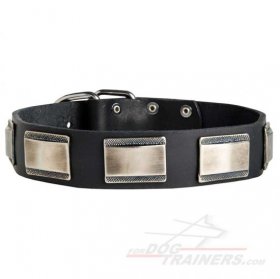 Royal Leather Bullmastiff Collar with Vintage Decoration