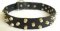Hand-Decorated Leather Bullmastiff Collar with Studs