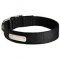 Bullmastiff Nylon Collar with ID Name Plate