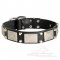 Stylish Leather Bullmastiff Collar with Massive Decorations