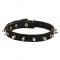Handcrafted Leather Bullmastiff Collar with Spikes