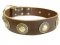 Top Notch Leather Bullmastiff Collar with Conchos