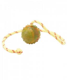 Solid Rubber Training Bullmastiff Ball on a String