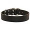 Top Quality Leather Bullmastiff Collar for Daily Activities