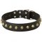 Studded Leather Bullmastiff Collar for Walking and Training