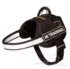 Waterproof Nylon Bullmastiff Harness with Reflective Strap