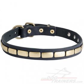 Gorgeous Leather Bullmastiff Dog Collar with Plates