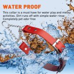 Biothane Martingale Collar with Metal Buckle_11