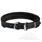 Comfortable Leather Bullmastiff Collar