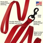 Biothane Waterproof Multi-Handle Leash_1