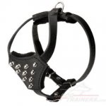 Small Leather Bullmastiff Harness with Spikes